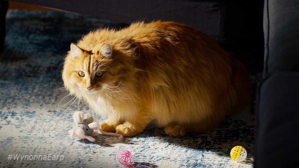 Calamity Jane The ginger pussy...cat we never knew we needed... she’s just a babe alright. #WynonnaEarp  #FiveForWynonna  @SYFY  @NBCUniversal  @nbcentpr