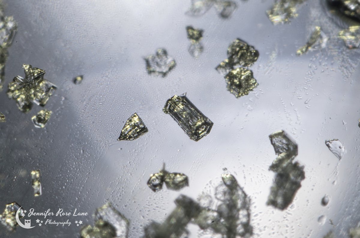 Jens_Starry_Sky's tweet photo. More #ColumnSnowflakes 🙂❄️💙 #snowflakes #cold #winter #WinterPics #SnowflakePics #macro #supermacro #MacroPics #weather #WVweather @StormHour @MacroHour @SnowHour https://t.co/rRwI1l6Yvk