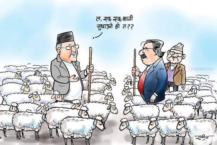 madanksuwal's tweet photo. @dil_nisani https://t.co/9u9jdtYt28