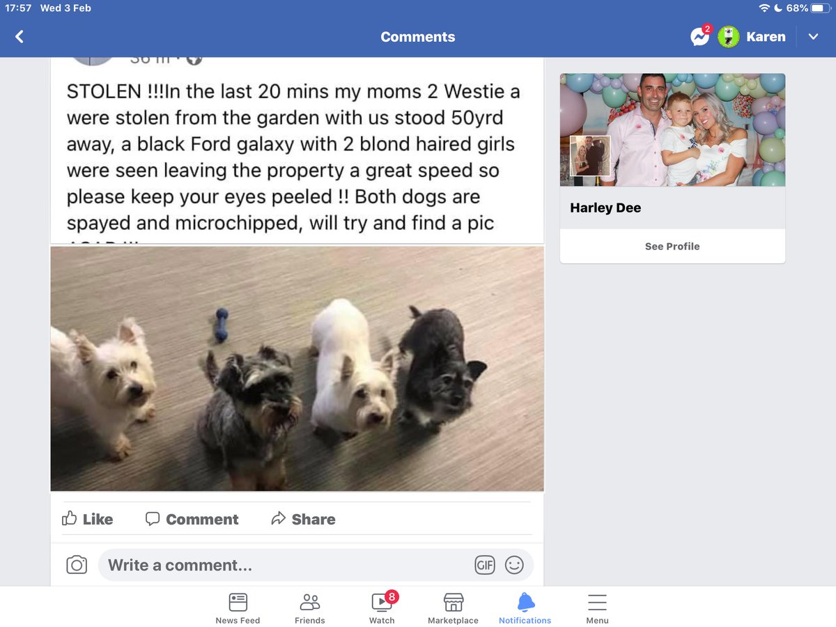 COPIED FB 🆘🆘🆘STOLEN #CodeRed #Kidderminster #2 Westies looking for  2 blond haired girls in Black Ford Galaxy #help please facebook.com/709410688/post…