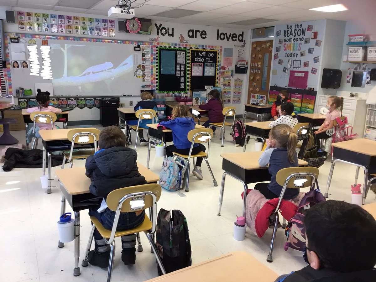 Celebrated World Read Aloud Day by listening to some stories!  We enjoyed <a href="/DavidSnyder17/">David Snyder</a> ‘s book so much, we wanted to learn even more about chameleons! <a href="/dolphins_center/">@center_dolphins</a> <a href="/OSD135/">Orland District 135</a> #135learns