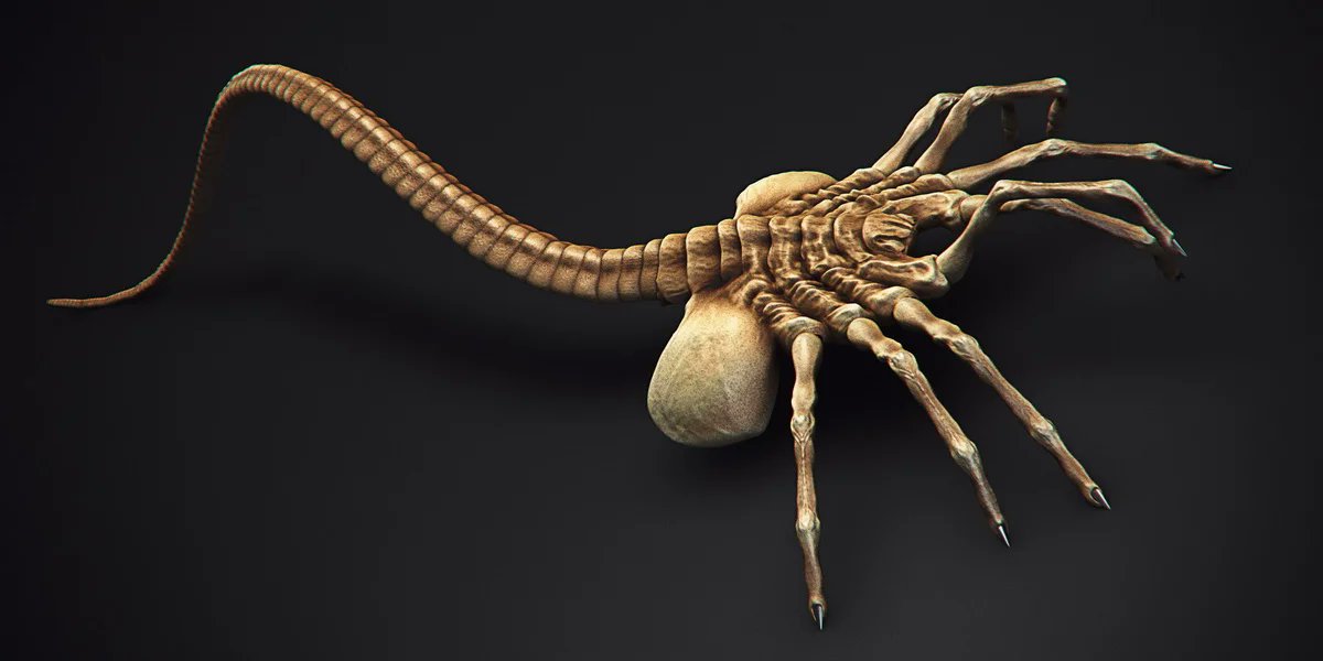 чужой ксеноморф лицехват. маленький чужой. чужой ксеноморф лицехват. маленький чужой. чужой ксеноморф зародыш.