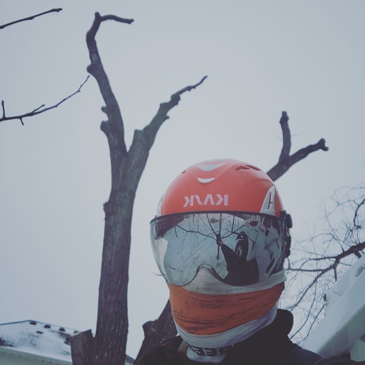 FargoParkAlec's tweet image. Time to rig down this stick. #fargoparks #arborist #treework