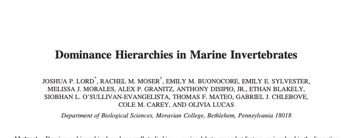 Joshua_P_Lord's tweet photo. Social hierarchies exist in marine invertebrates too, and they are understudied but fascinating! Check out our paper in The Biological Bulletin, with 11 @MoravianCollege student co-authors! @ChicagoJournals 
https://t.co/vYwnGd4hSP https://t.co/ZZVphuDbIi