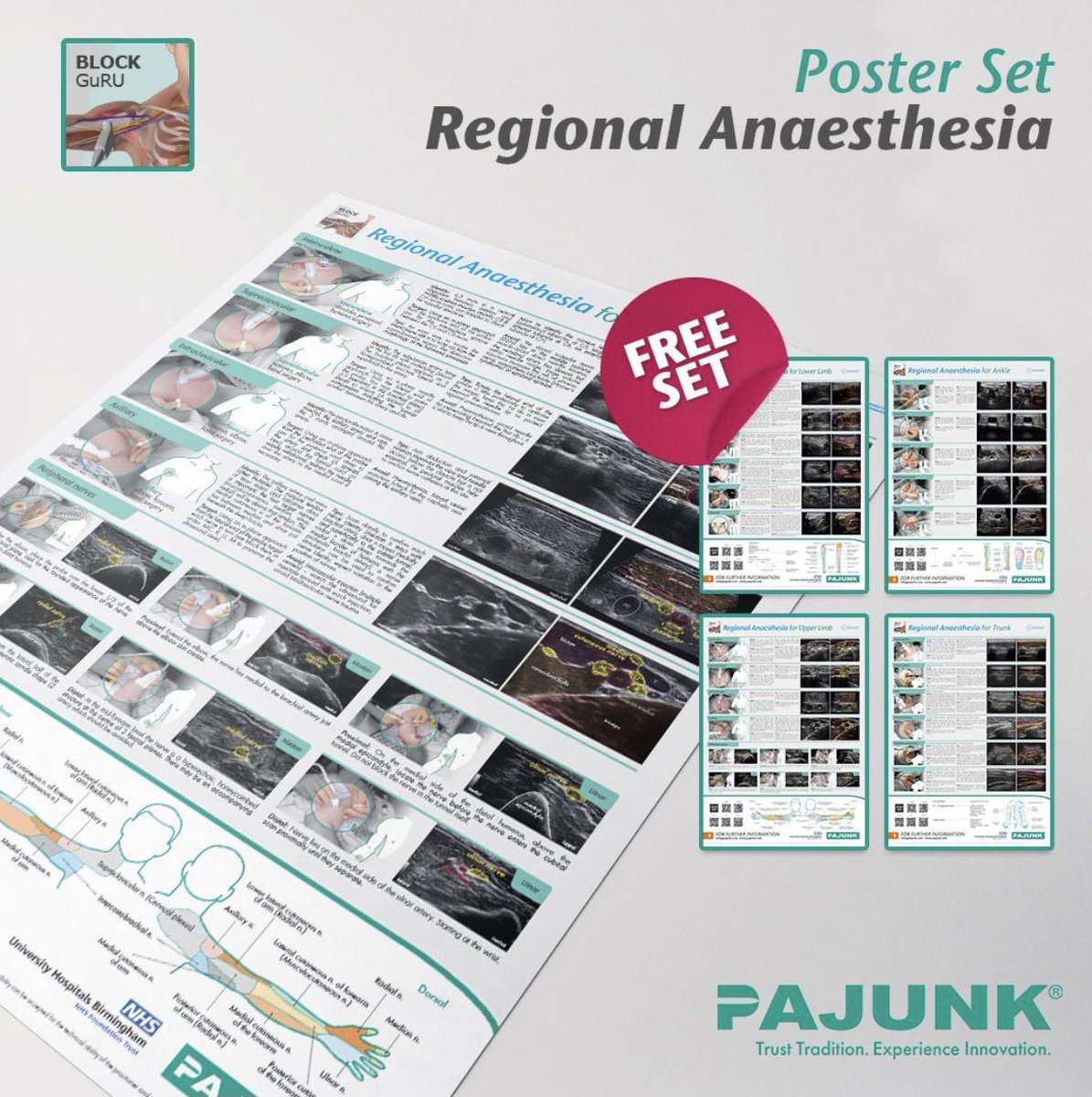 Free #usgra posters, email marketing@pajunk.com to request the full set of large laminated, updated posters #RegionalAnesthesia these posters are available worldwide. #nerveblocks #anesthesia #anaesthesia #painmanagement #ultrasound #FOAMed @Pajunk