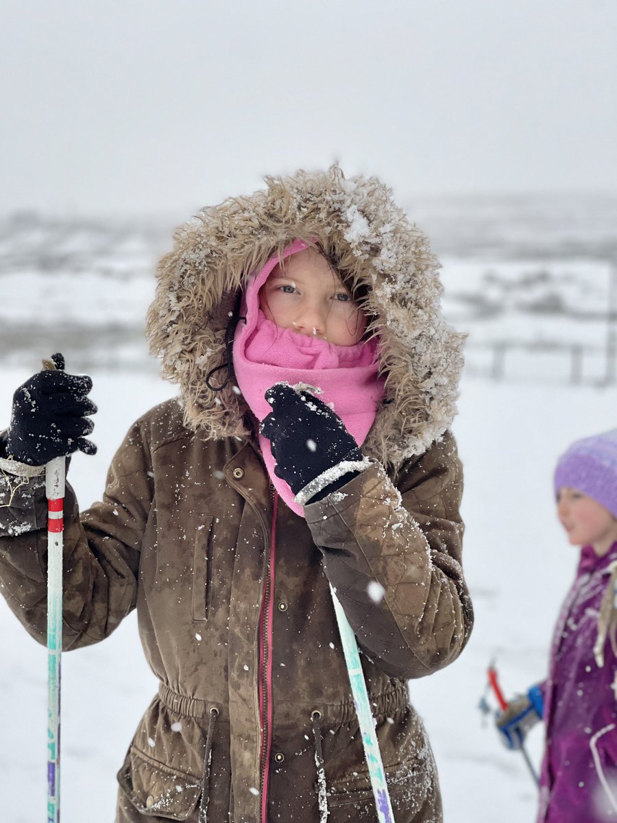 YorkshireShepherdess tweet media