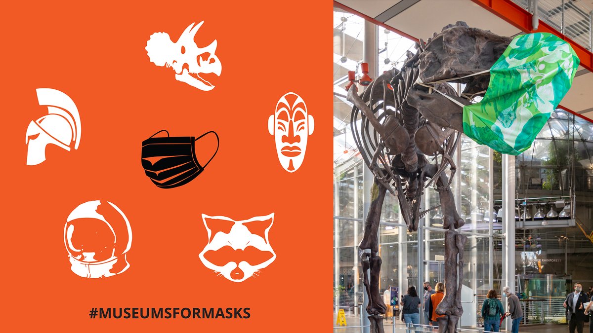 Because we miss you terribly IRL, we're joining museums across the state to amplify CA’s COVID-19 health guidelines. So that we can see you soon, please:
😷 Wear your mask
📏 Keep your distance (6 ft+)
🏠 Stay home if you’re sick
🖐️ Wash your hands frequently
#MuseumsForMasks 🧡