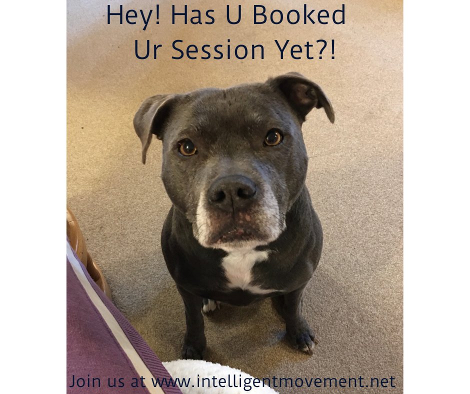 GravityCaz's tweet photo. If you share your living space with a furry friend, you may have noticed that you're a constant source of interest.  AND this may be a good thing...this week's blog is all about the benefits of our furry friends: https://t.co/JfxhnlH8M8 #selfcare #bluestaffy #intelligentmovement https://t.co/3lT1eRoqOb