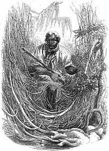 Great Dismal Swamp Maroons Groups of slaves who escaped from slavery & formed their own maroon colonies in the swamp land areas of North Carolina & Virginia from the 1700’s to the 1860’s. We don’t often hear about the slaves who not only escaped but even thrived on their own.