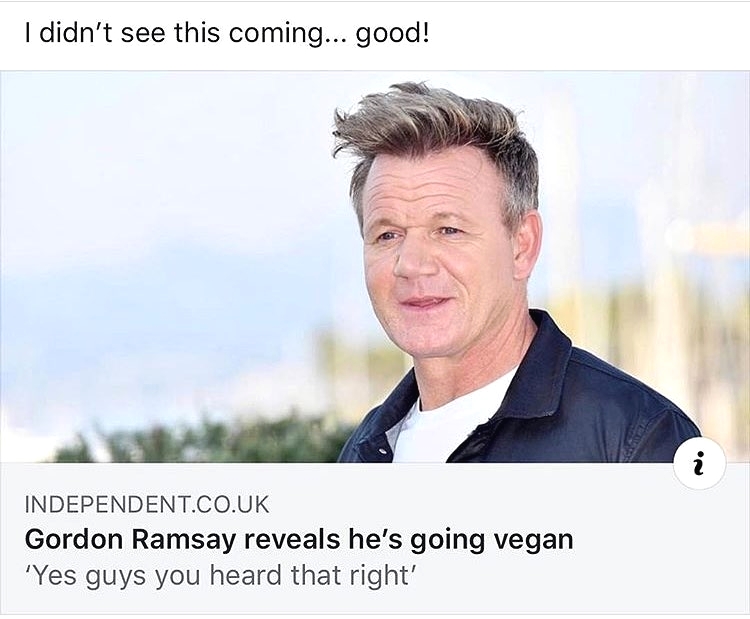 Tag someone who needs to see this.
🐣🐔🐷🥒🌽🍒 
From: <a href="/animalsabove/">Animals Above</a>
(📸 Credit to the respective owner(s))

.
.
.
.
#animallover #veganism