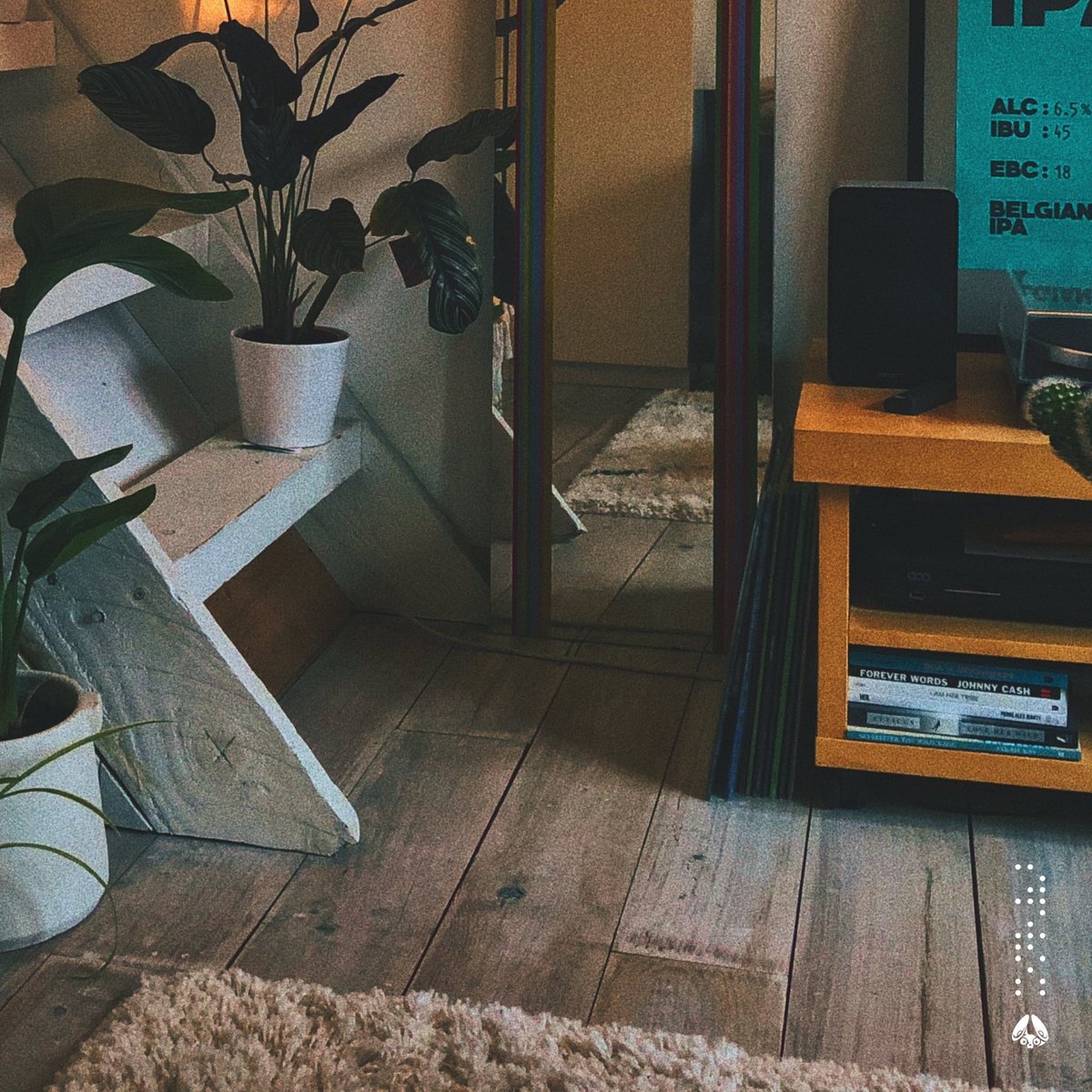 ✨ album announcement ✨

‘your comfort’ is an 8-track project that will be releasing via <a href="/wearestereofox/">Stereofox</a> 

first single: feb 12
second single: feb 22
full album: march 5

so excited to share this with you all!