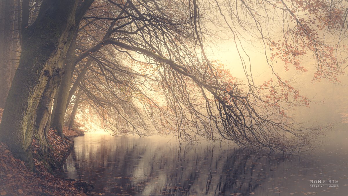 Ryburn Reservoir on a misty morning. <a href="/YorkshireWater/">Yorkshire Water 💧</a> <a href="/Yorkshire_Life/">Yorkshire Life</a> <a href="/Welcome2Yorks/">Welcome to Yorkshire</a> #reservoirs #water #trees  #mist #landscapephotography
info@ronfirthcreativeimages.co.uk