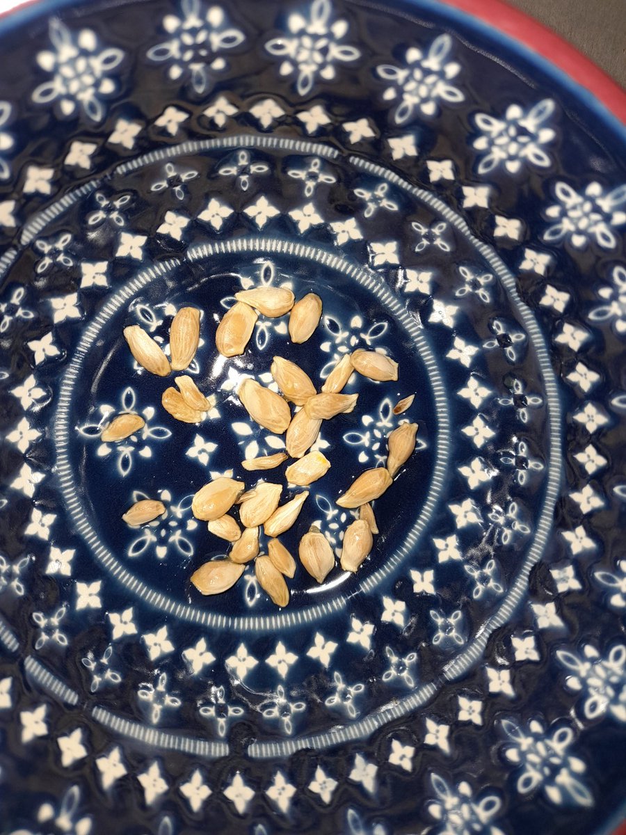 Anastasia Psarra (@apsarrapr) on Twitter photo I believe I may have broken a record for most seeds found in one small orange, 31 (plus the ones I swallowed by accident!) Dear <a href="/AldiUK/">Aldi Stores UK</a> please advise whether I'm entitled to any sort of award! 🙃 I believe I may have broken a record for most seeds found in one small orange, 31 (plus the ones I swallowed by accident!) Dear <a href="/AldiUK/">Aldi Stores UK</a> please advise whether I'm entitled to any sort of award! 🙃