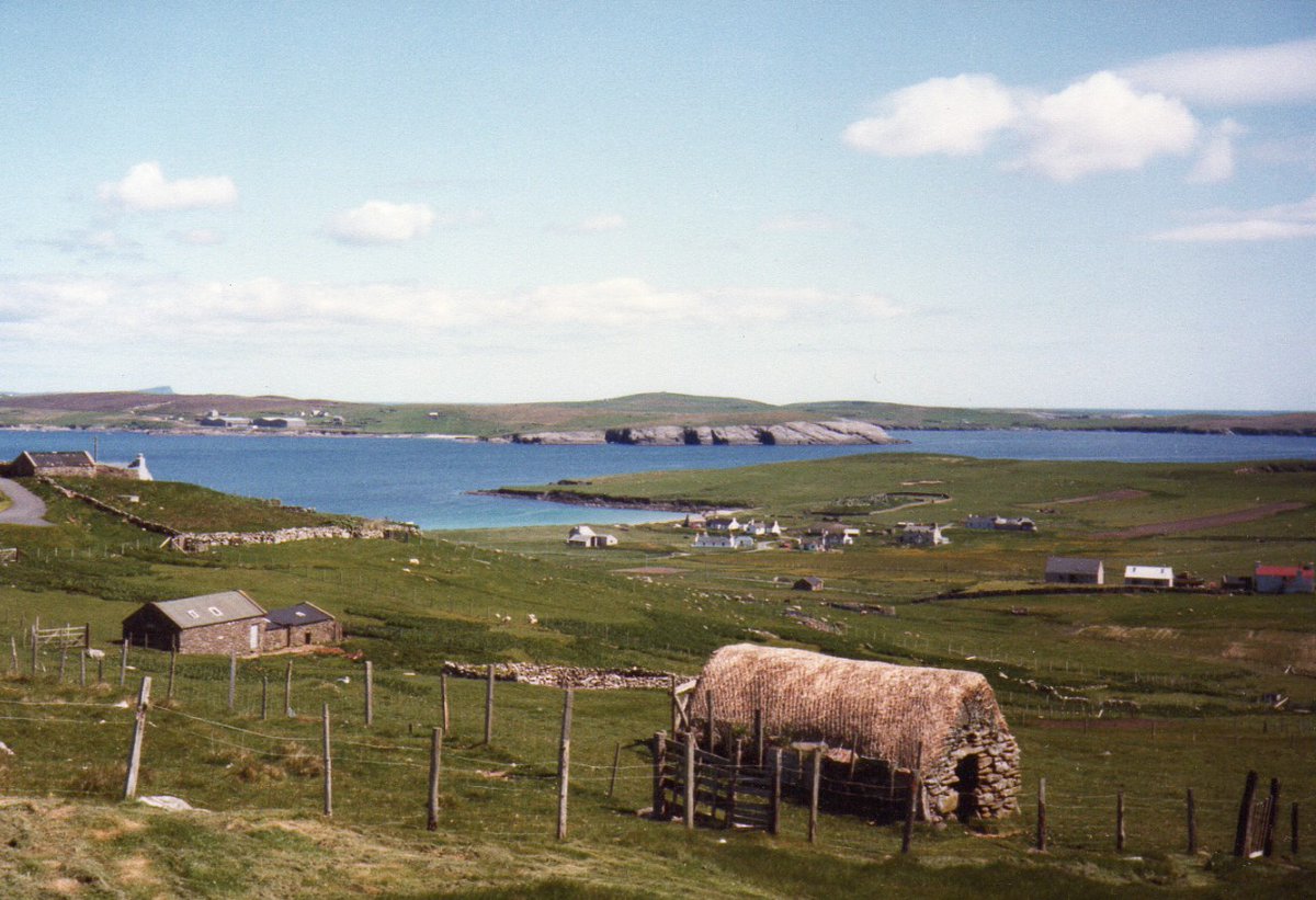 I was lucky to spend my childhood in Shetland. This was the view from the front door in the early 80s. Look at that freshly thatched shed? There were more around the village. I have been back a number of times and now there are none. A long tradition of craft lost so recently.