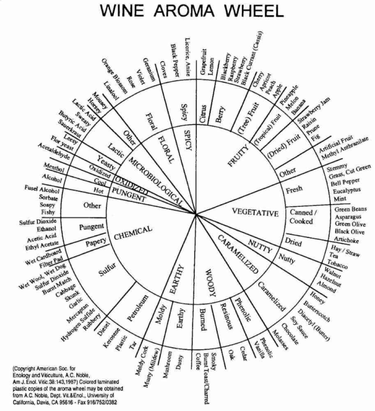 VAWREx's tweet photo. From the WRE Newsletter: "'The tool that transformed wine tasting', the Wine Aroma Wheel, was developed by Dr. Ann Noble and her colleagues at UC Davis..." Read more at: https://t.co/wQmA7amnmi

#vawine #wineexperiments #winescience #winetasting #sensoryanalysis #wineeducation https://t.co/LDSz23zCN9