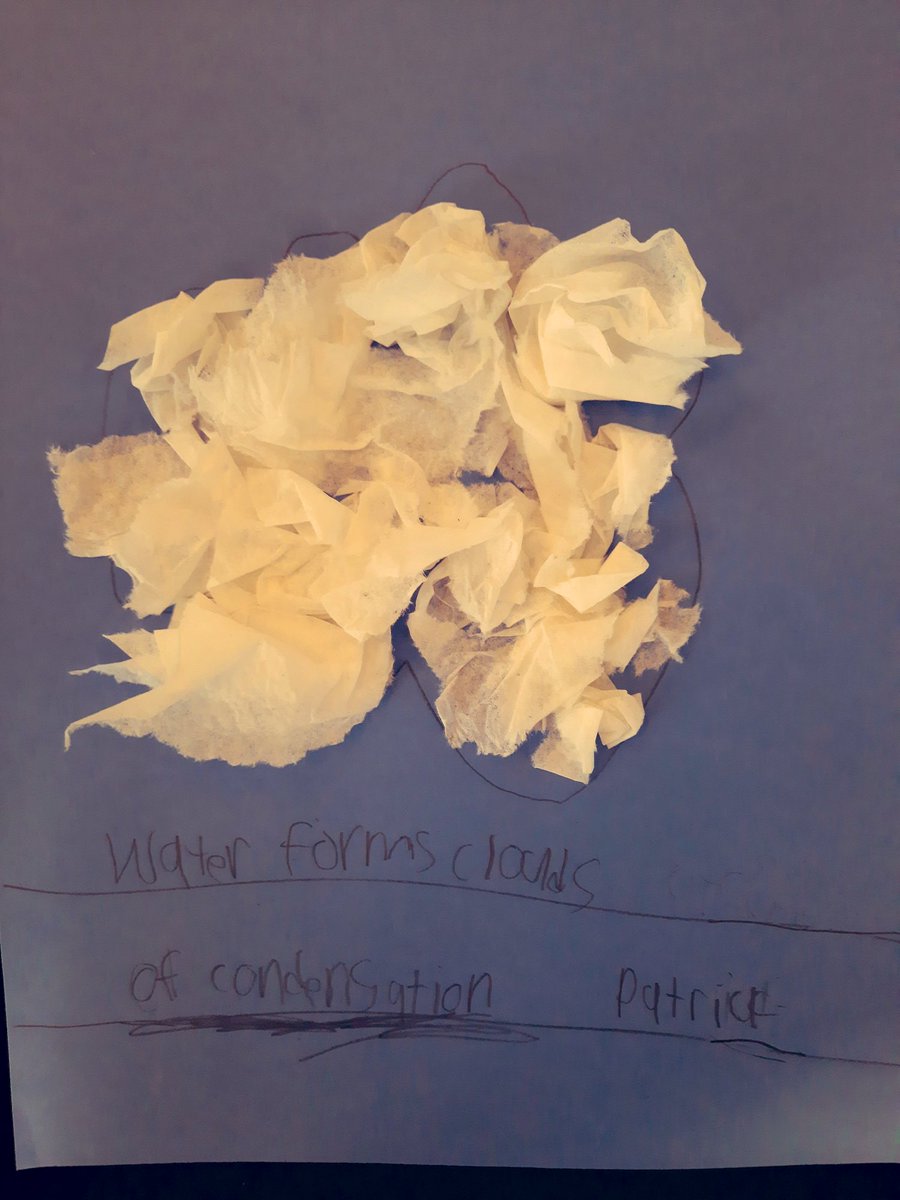 Kelly Curley tweet media