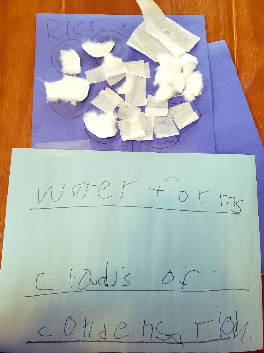 Kelly Curley tweet media