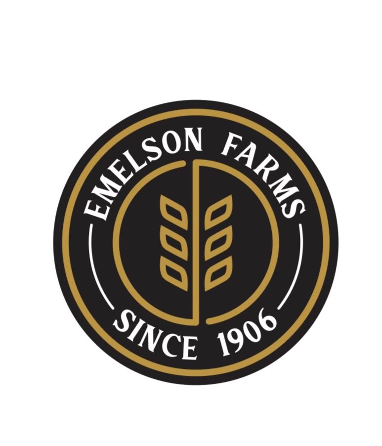 EmelsonFarms's tweet photo. Good supplies of Feed and Malt Barley available!! Give us a call to discuss. #plant21 https://t.co/35xELGrg4O