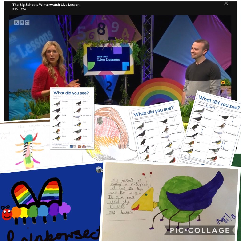 DaltonStMarys's tweet image. Year 3 were so involved with the Winterwatch Live and the Big Garden Birdwatch, they’ve done so much work.The data they collected last week has been used this week in their maths lessons! #loveoflearning #naturesvoices #lovingnature #lovingourworld