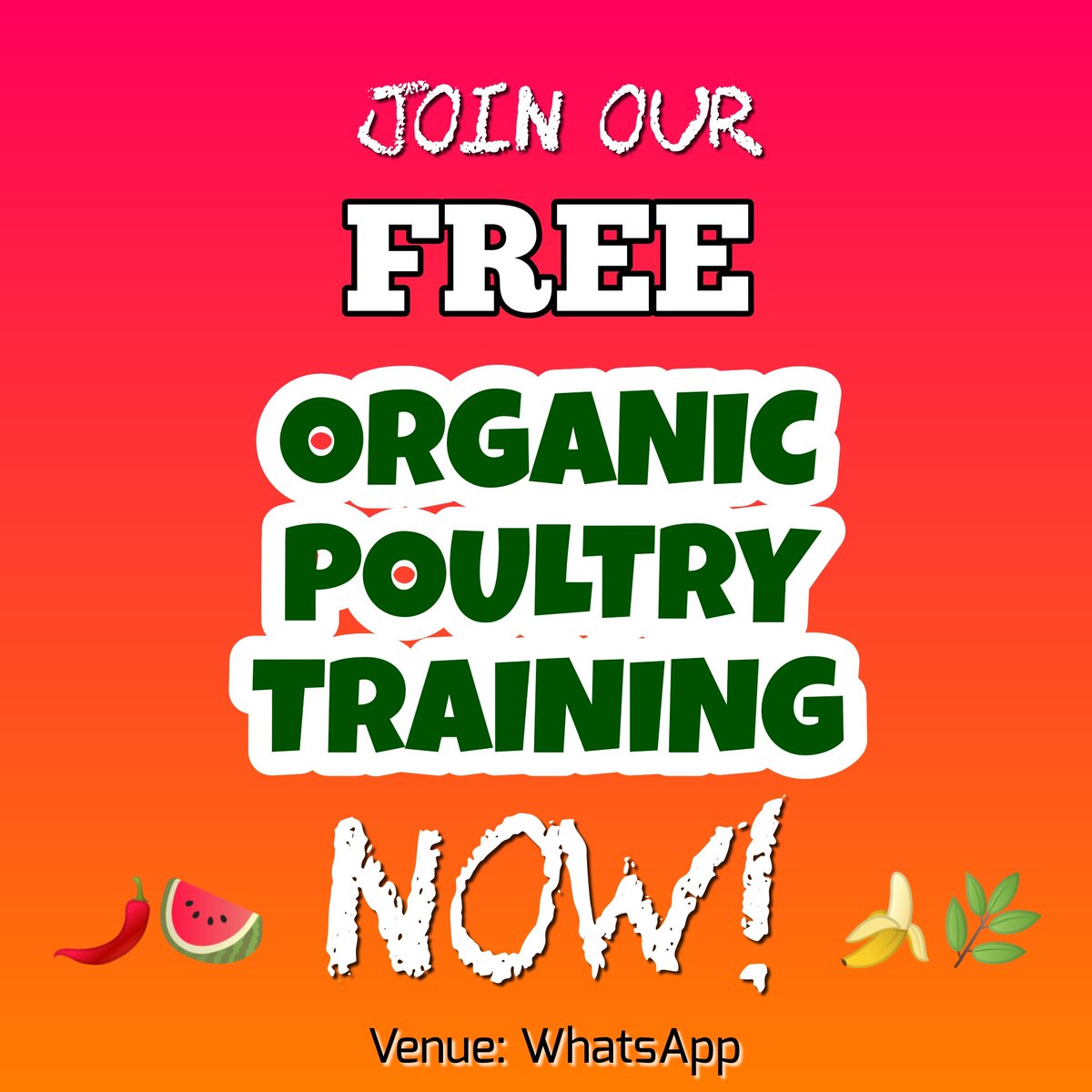 diyagric's tweet photo. Organic Poultry Training like no other
Join Now!
https://t.co/7nZvjZKi0A https://t.co/2KSD9s8KWw