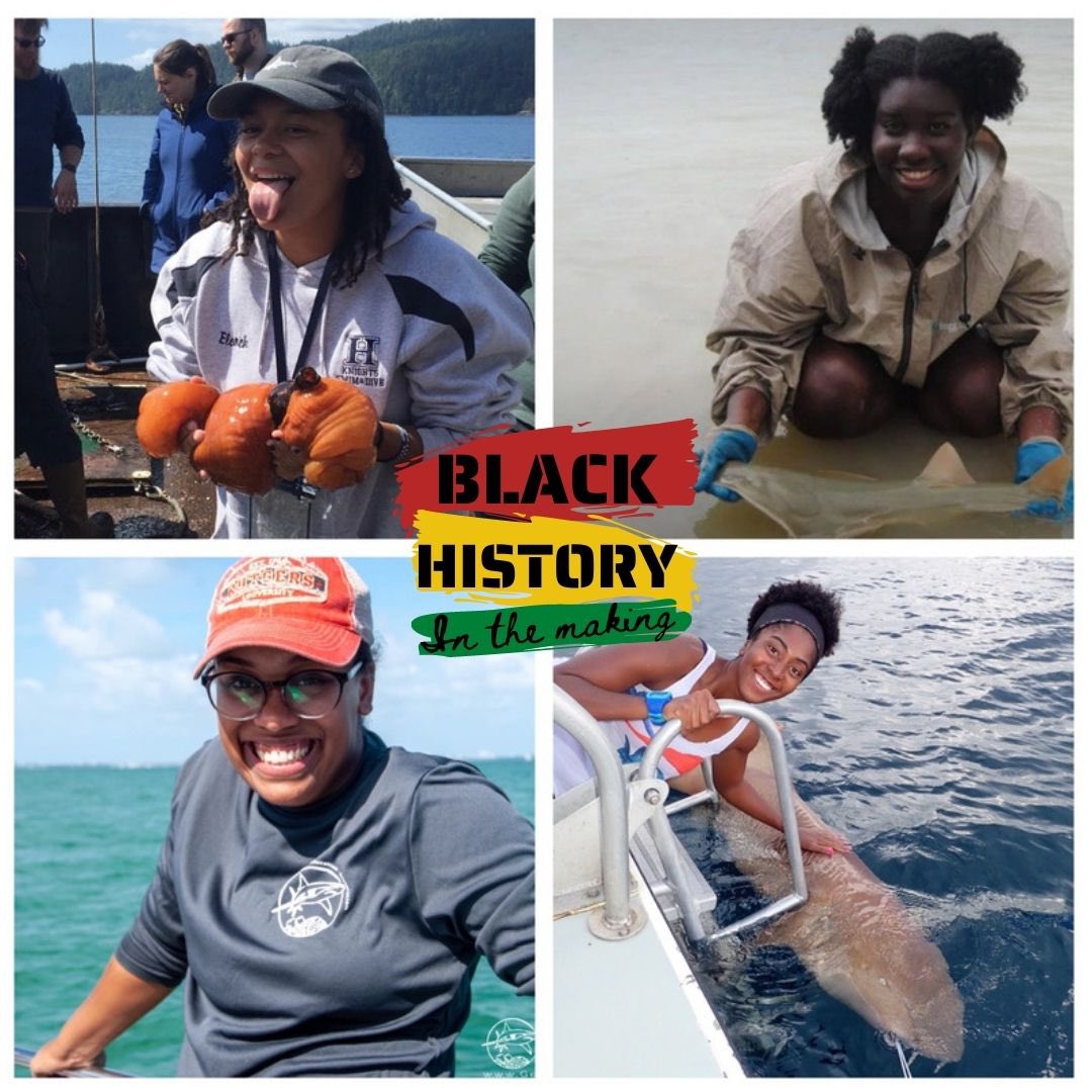 Minorities in Shark Sciences (MISS) (@miss_elasmo) on Twitter photo ◾️Black History in the Making◾️
We would like to recognize the 4 Black women shark scientists who cofounded MISS (a small thread)
🦈Jaida Elcock <a href="/soFISHtication/">🦈Shark Lady🦈</a>
🦈Jasmin Graham <a href="/Elasmo_Gal/">Jasmin Graham (she/her)</a>
🦈Amani Webber-Schultz <a href="/Curly_Biologist/">Amani Webber-Schultz</a>
🦈Carlee Jackson @CarleeMJ_
#blackhistorymonth ◾️Black History in the Making◾️
We would like to recognize the 4 Black women shark scientists who cofounded MISS (a small thread)
🦈Jaida Elcock <a href="/soFISHtication/">🦈Shark Lady🦈</a>
🦈Jasmin Graham <a href="/Elasmo_Gal/">Jasmin Graham (she/her)</a>
🦈Amani Webber-Schultz <a href="/Curly_Biologist/">Amani Webber-Schultz</a>
🦈Carlee Jackson @CarleeMJ_
#blackhistorymonth
