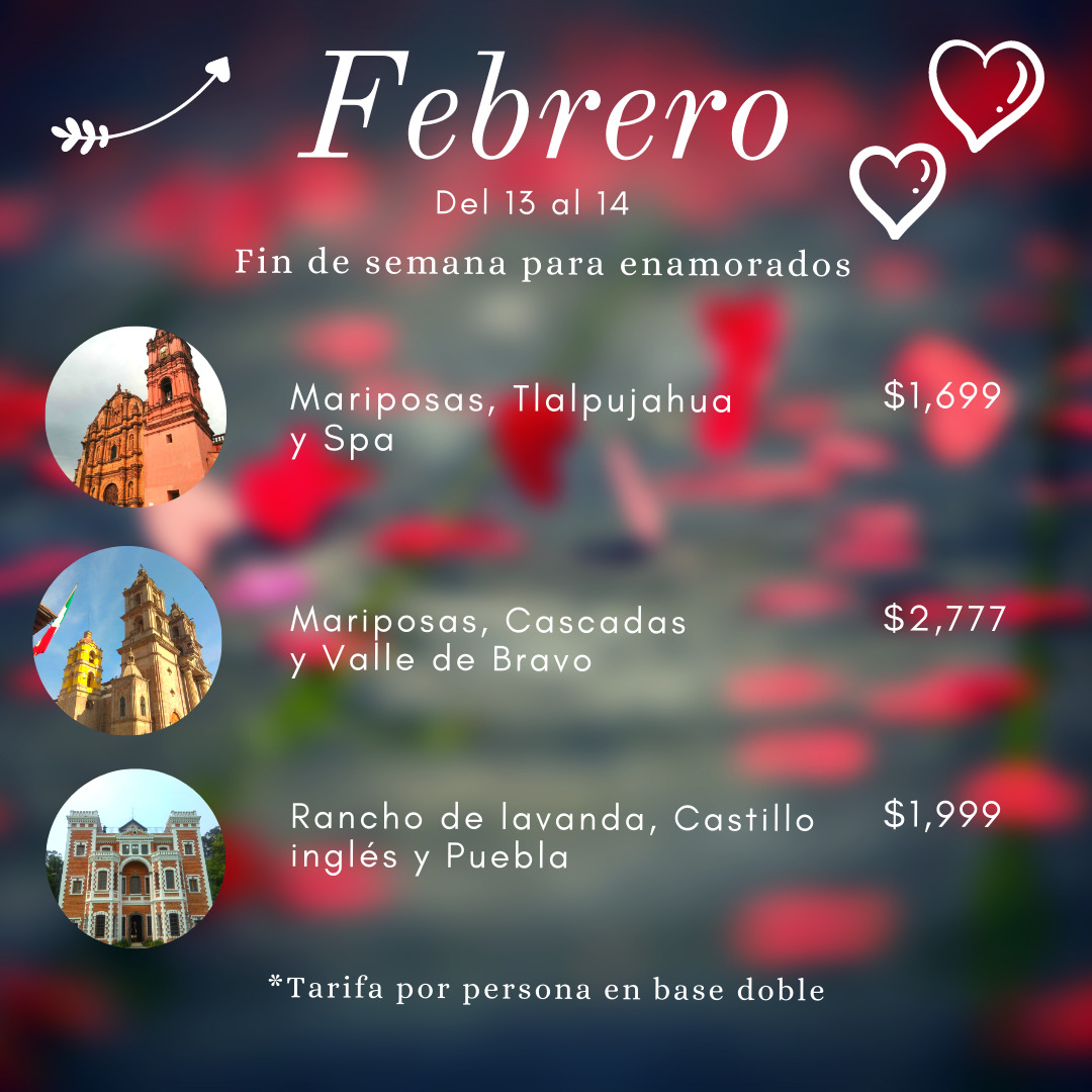 Mex Inca Travel tweet media