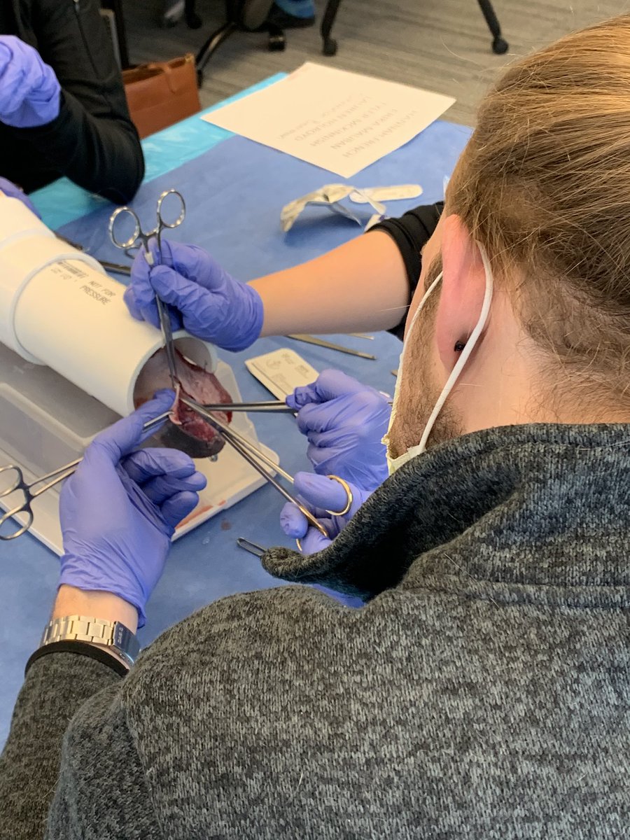 Great to do #FPMRS surgical simulation with fantastic <a href="/WashU_OBGYN/">WashU Medicine OBGYN</a> residents using A&amp;P repair model developed here by <a href="/StacyLengerMD/">Dr. Stacy Lenger, MD</a> <a href="/cmchumd/">Christine Chu, MD</a>