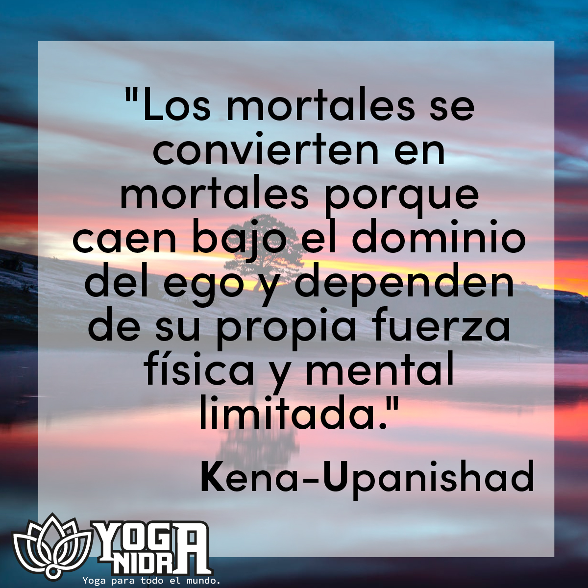 YogaNidraMX's tweet photo. Los mortales se convierten en mortales porque caen bajo el dominio del ego y dependen de su propia fuerza física y mental limitada. – Kena-Upanishad
.
.
#yoga #yogamx #yogainspiration #yogisofinstagram #yogacdmx #yogamex #yogi #yogalifestyle #Upanishad #Upanishads #YogaQuote https://t.co/xssAO3umGy