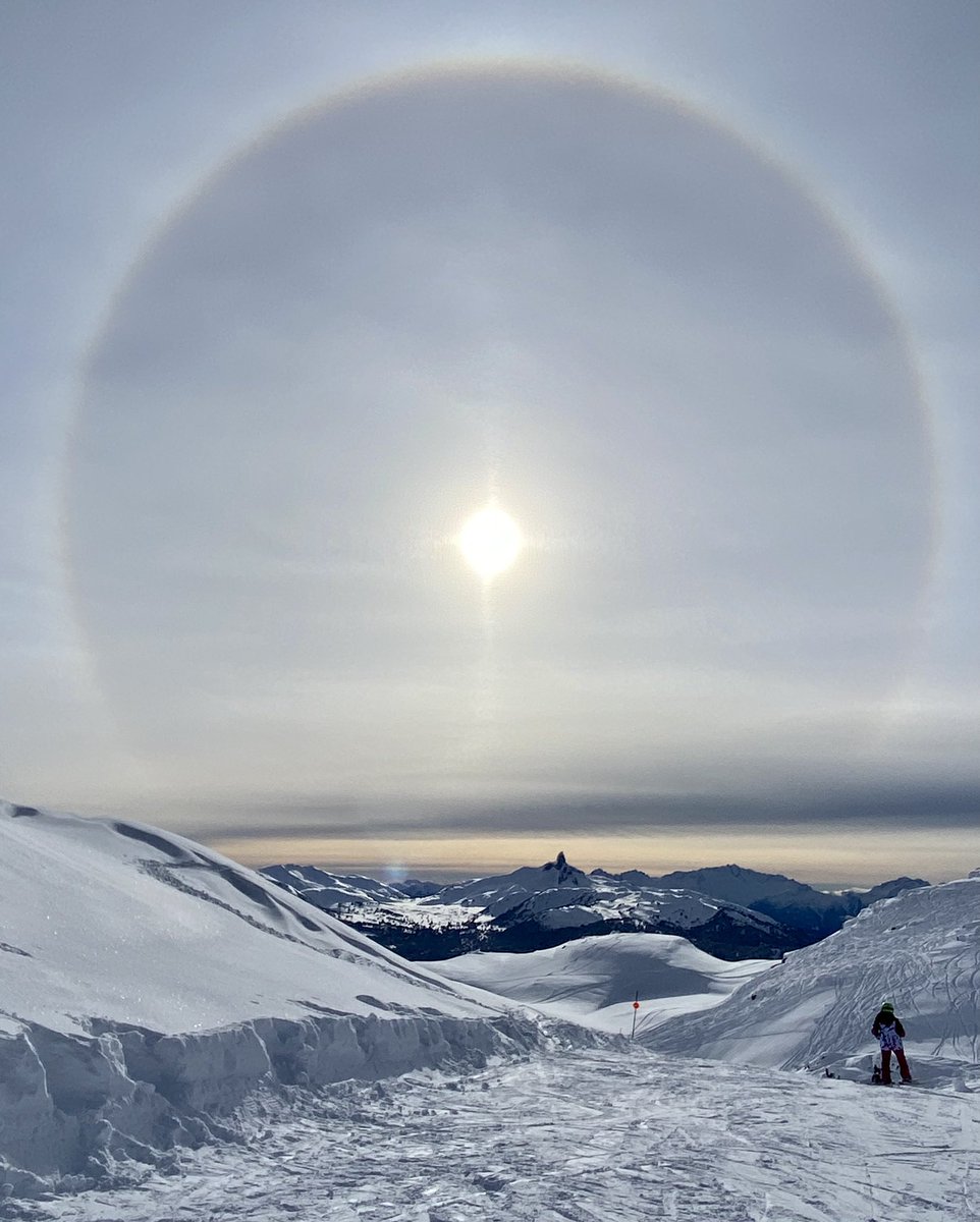 KathiBridge's tweet image. Beauty day on Whistler today. Sunshine, sun dog and lots of snow earlier this week.