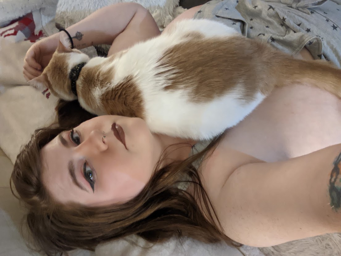 Dare_Foxy's tweet photo. sometimes I have to censor my photos,other times my cat does it for me🤣 https://t.co/Bd7EyCqBoG