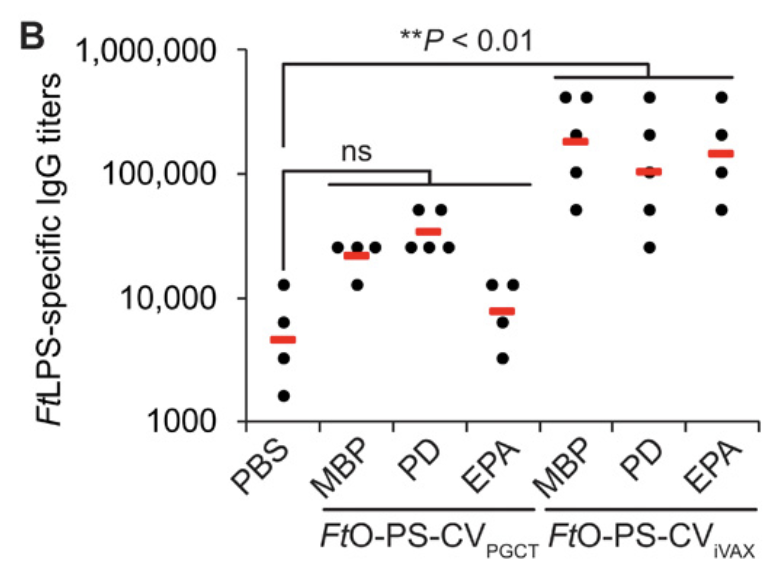 One of the most surprising elements? iVAX-derived vaccines elicited higher levels of pathogen-specific, class-switched IgG antibodies than ostensibly identical vaccines made using an established technology. Further study could lead to design rules for more effective vaccines 6/n
