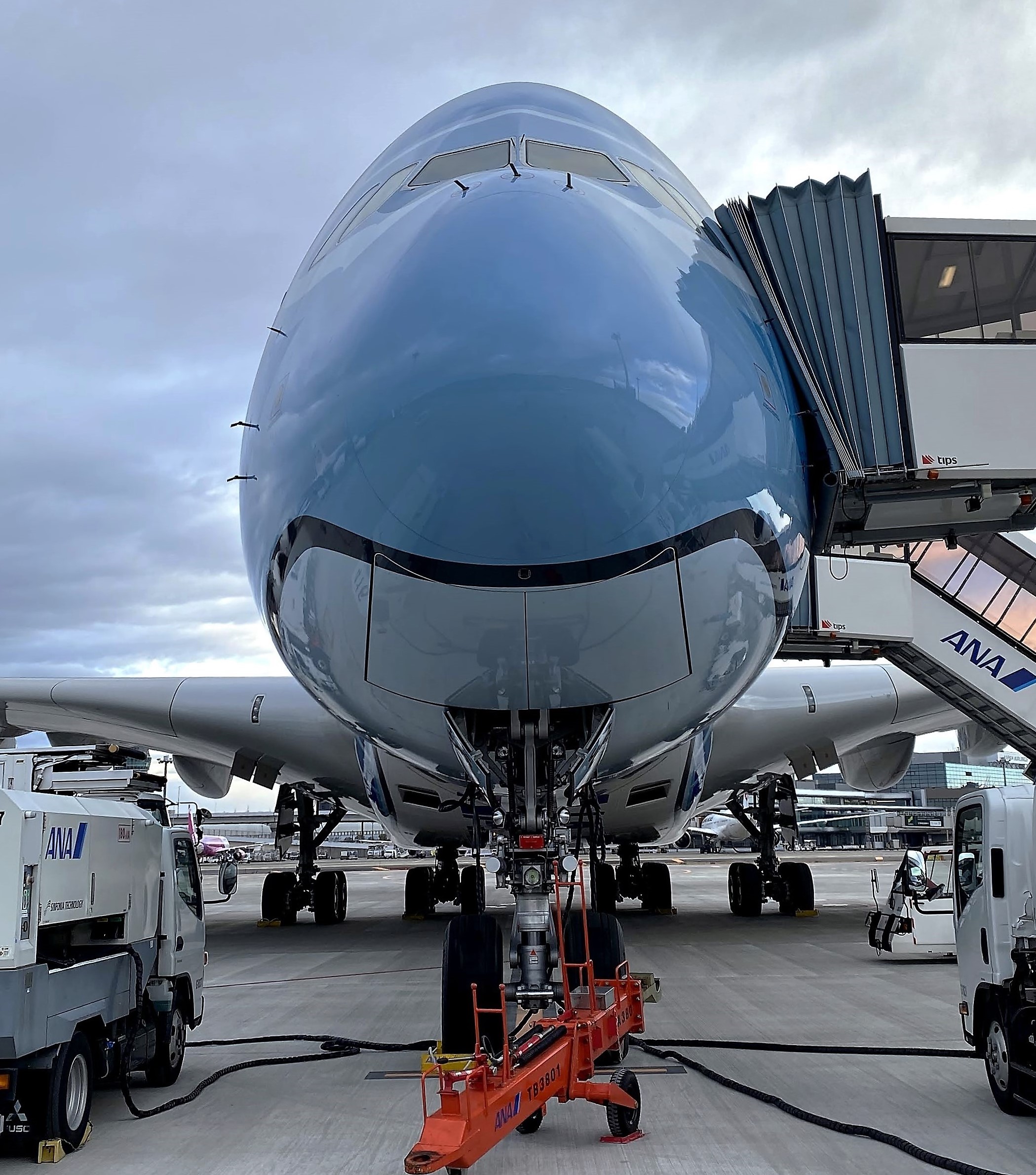 Ana旅のつぶやき 公式 青空に恋 した人々 エアバスa380 は世界で1番大きな旅客機で 最大離陸重量は560トンを誇ります コックピットには6枚の窓があり その一部は開閉も出来ます 地面からパイロットの目線までは約7mあり 前方が広く見渡せます