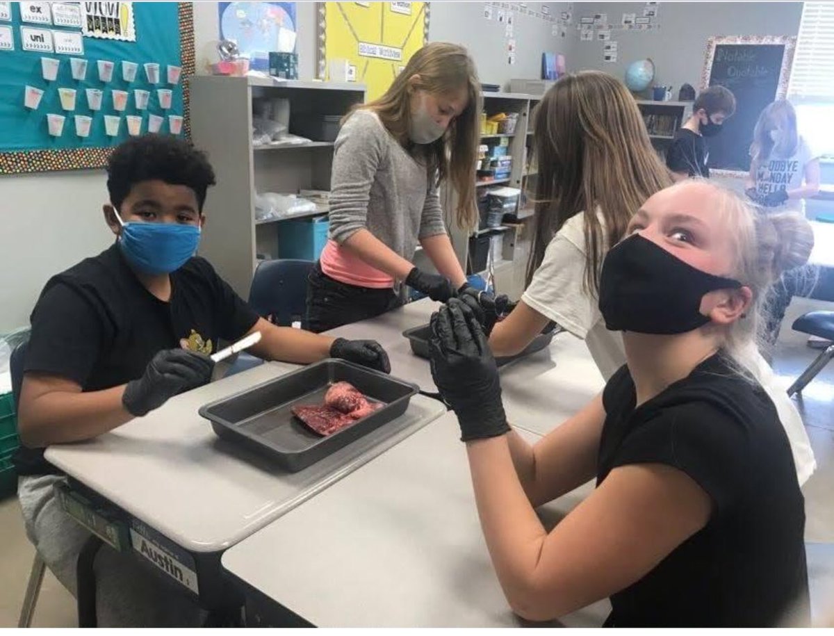 HeritageNL's tweet image. Today our 5th graders dissected deer hearts as they continued to learn about God’s amazing design of the circulatory system (and we had some fun along the way). #HCSTransform
