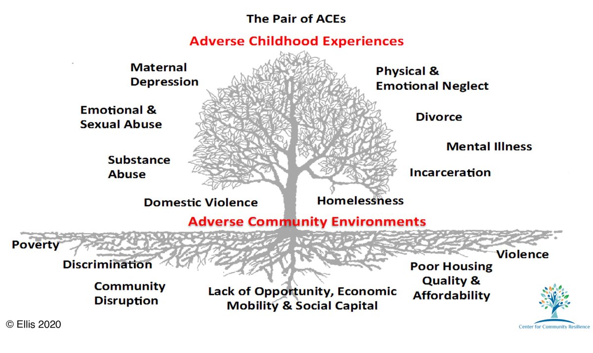 We created the #PairofACEs tree to illustrate how adverse childhood experiences occur in the context of adverse community environments.