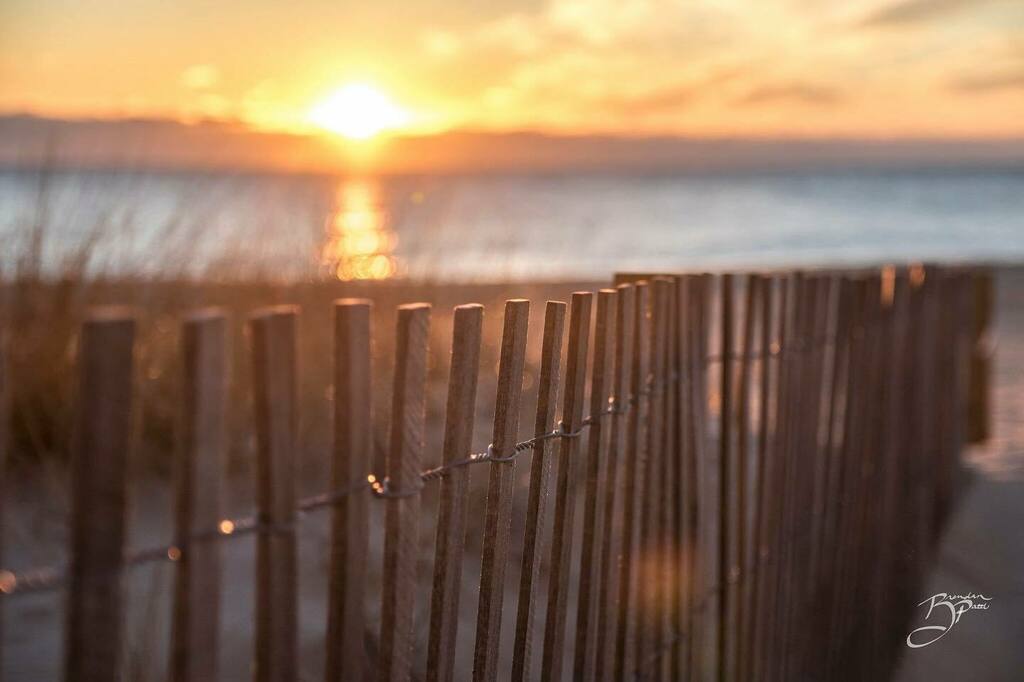 52frames's tweet photo. π« Brendan Patti made use of his time at the beach to capture a lovely sunrise over the dunes. A great shot from our
#52frames_horizonlines album. A beautiful and creative shot, Brendan!
πππ
πWeek 05/2021
πTheme: Horizon Line
π Selected by @tamarsβ¦ https://t.co/uIDgFLATx1 https://t.co/qAXSGtVN67