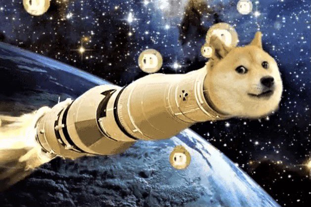 DogecoinRise's tweet image. #Dogecoin Rise. 🌎🚀🌕
