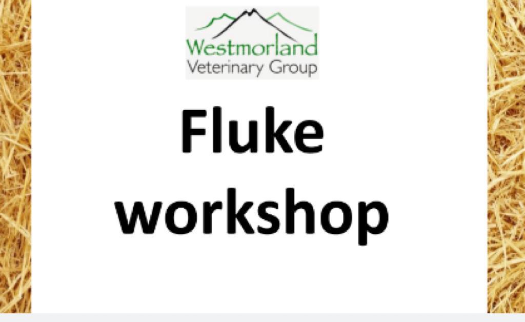 Just shy of 30 folk tuned in to tonight's fluke workshop!
Thanks to Becky for a great talk. Key take-homes:
✔️Use fluke forecasts monitor emergence
✔️Blood and faecal sampling can help in different scenarios
✔️Strategic dosing - for the right product at the right time!