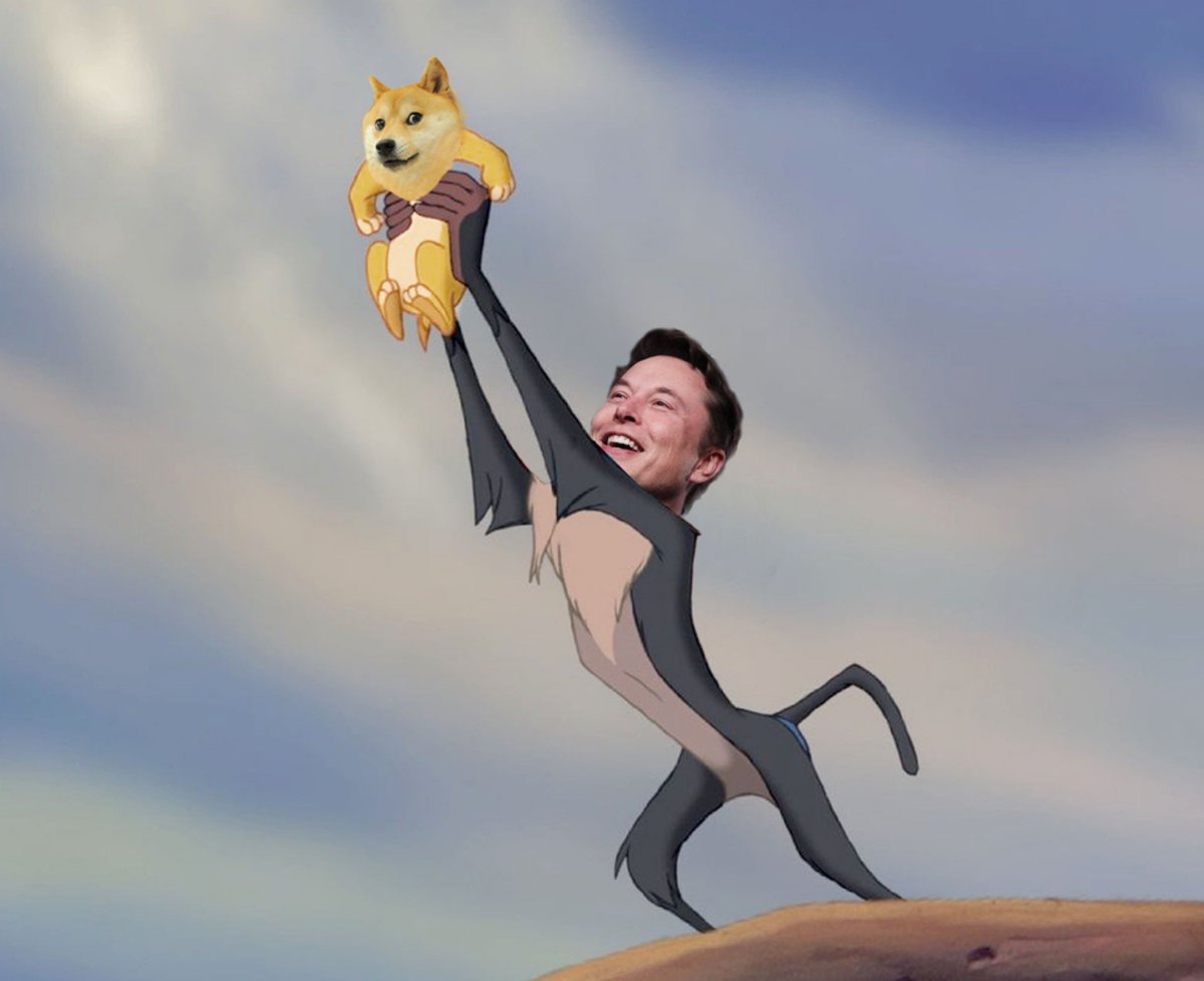 DogecoinRise's tweet image. “The Most Entertaining Outcome Is The Most Likely” -@elonmusk #Dogecoin