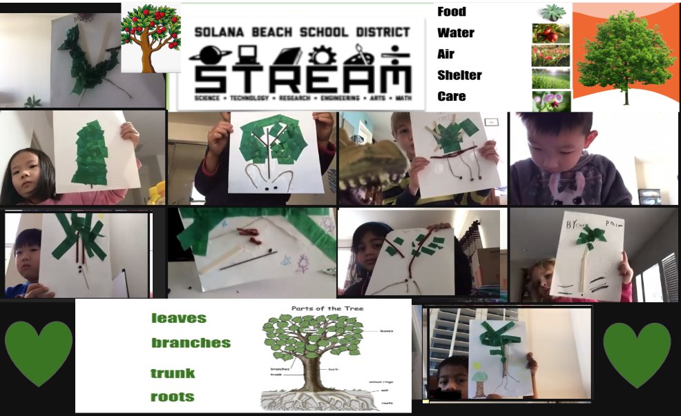 sbsdCCSTREAM's tweet image. @MagogoGadget Thank you for the fab. lesson on living things! We loved learning about trees and other living things by making our own. #STEMeducation  #sbsdSTREAM #CAngss