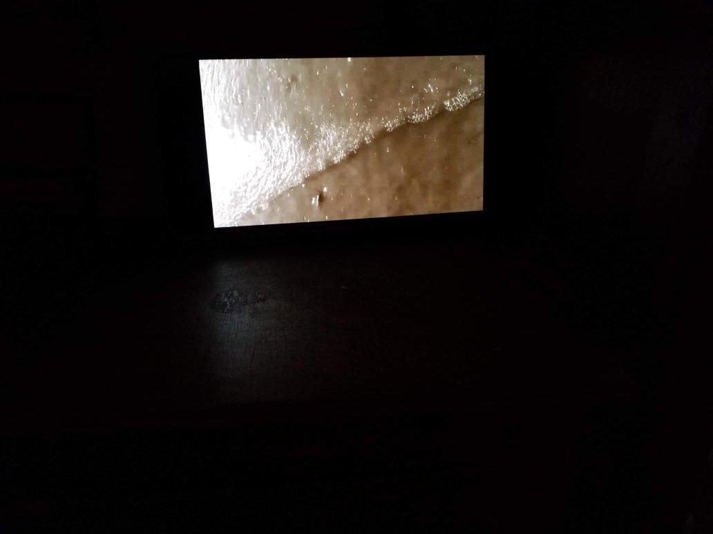 BeaLast's tweet photo. Bea Last #Artist #Lockdownandlight bringing the outdoors inside through lockdown #Scotland. Temporary light #installation #contemporaryart @axisweb @WeAreUpland @sca_net @CreativeToot @DG_Unlimited @midstquarter #Dumfries https://t.co/XOICQozuzo
