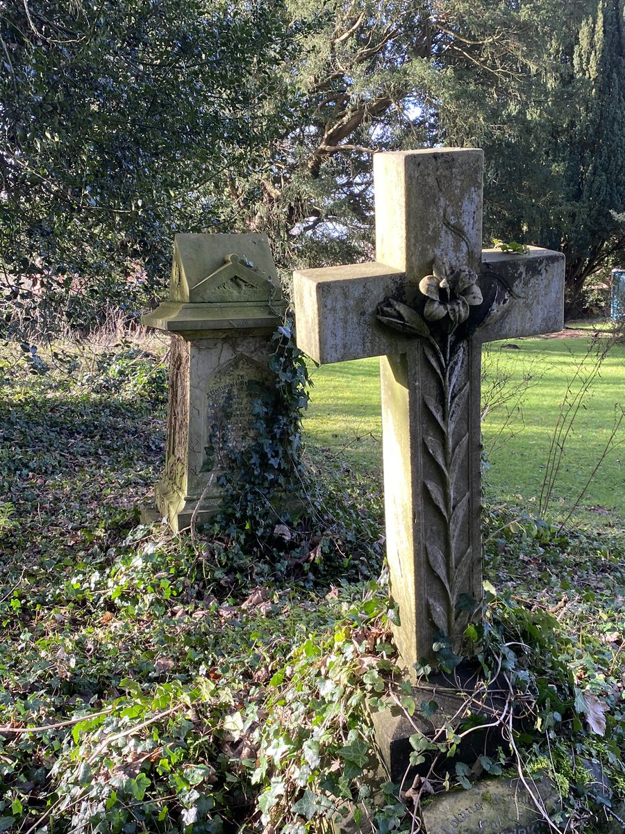 amd4_ann's tweet photo. Iโm walking a mile a day in the light&safety with pooch.Although sunny it was cold&windy.Water levels are up & down,but lovely to get outside &admire the swathes of snowdrops in the church yard& ponder.... #reflectivetime #metime https://t.co/cytayMoJWM