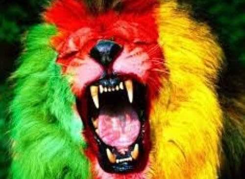 RolandeNgo's tweet image. Une défaite ça fait mal ! Tirons juste les conséquences et avançons #thefightingspirit  @FelixNyeck @Pcrn_Officiel