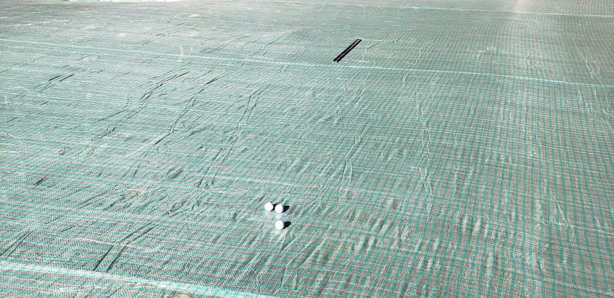 Sean McCue tweet media