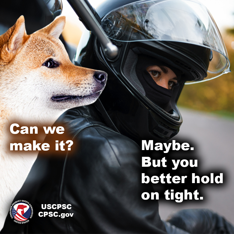 A dog named Potato and a mysterious lady motorcycle rider dressed in black. Potato says, "Can we make it?" The rider says, "Maybe. But you better hold on tight."