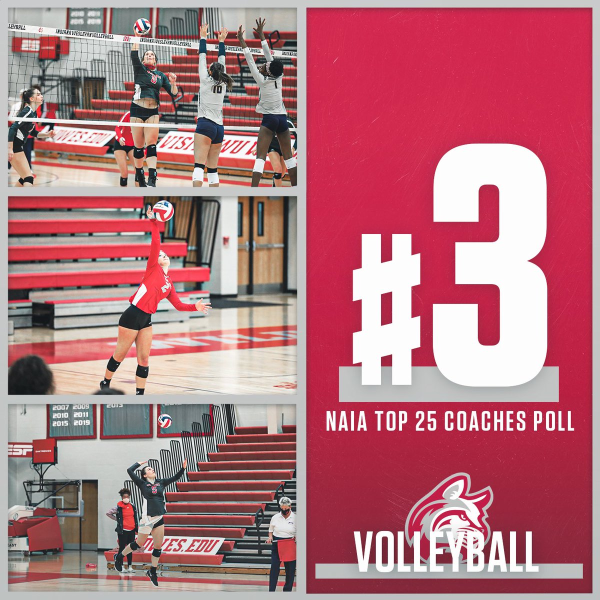 IWUWildcats's tweet photo. The Wildcats will hit the court in a few weeks as the No.3 team in the NAIA! https://t.co/LZCHRGZ1Nt