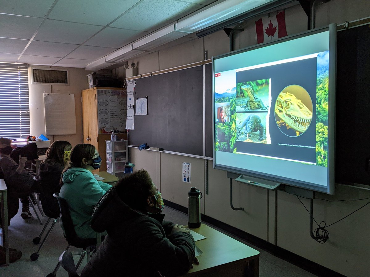 Mr_Aikens's tweet photo. Blizzards to Lizards was a great presentation by @KasiaMajewski1 Students from @LambethPS1 had the opportunity to ask live questions about monitor lizards and #Borneo. Another great Virtual Trip from @EBTSOYP https://t.co/iuJc1t7QDZ