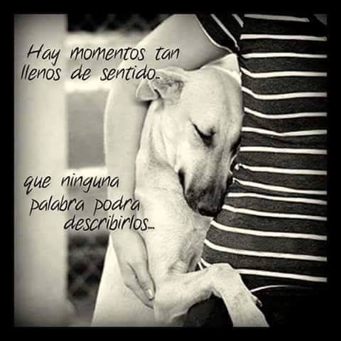 GEDVAnimal's tweet photo. "Hay momentos ..." https://t.co/Y6GG34l0w6