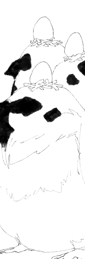 wipwipwip 