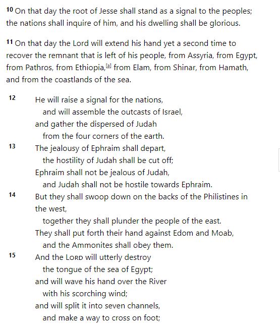 Here's most of the well known verses from Isaiah 11. The lion will eat straw like the ox, the wolf will live with the lamb, that stuff. I quote them to show you the reality of these "prophecies"(these sorts of proclamations were not prophecies in their original sense)