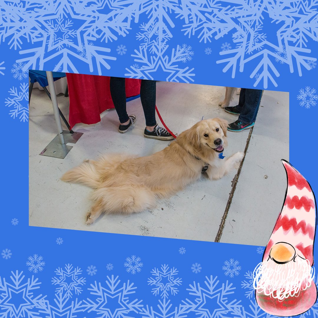 Winnebago Pet Expo tweet media